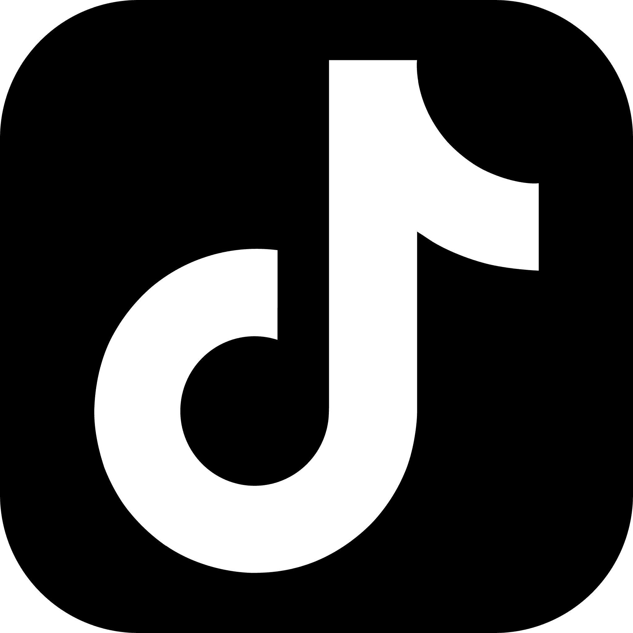 TikTok Logo
